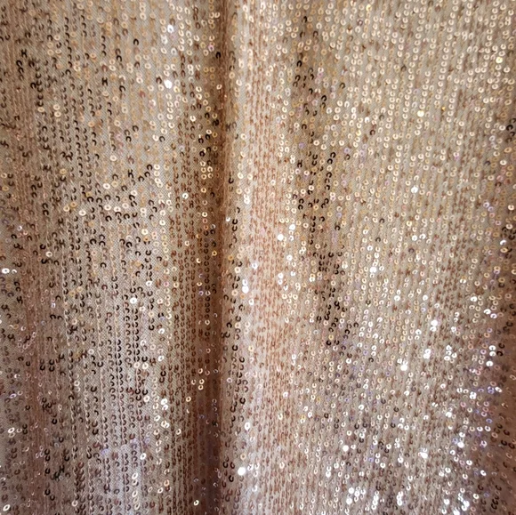 CLEARANCE LOFT Sequin Sleeveless Top - Rose Gold - Picture 5 of 13